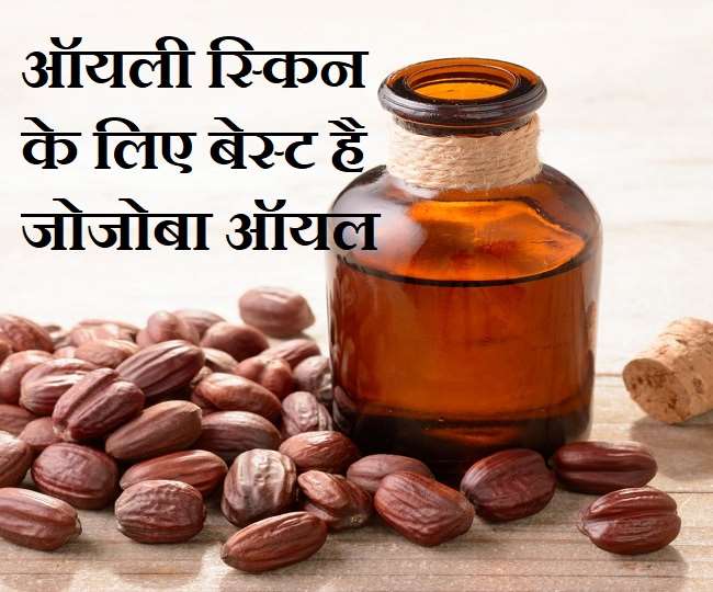Jojoba Oil skin Benefits ऑयली स्किन पर भी असरदार है एंटी एजिंग जोजोबा