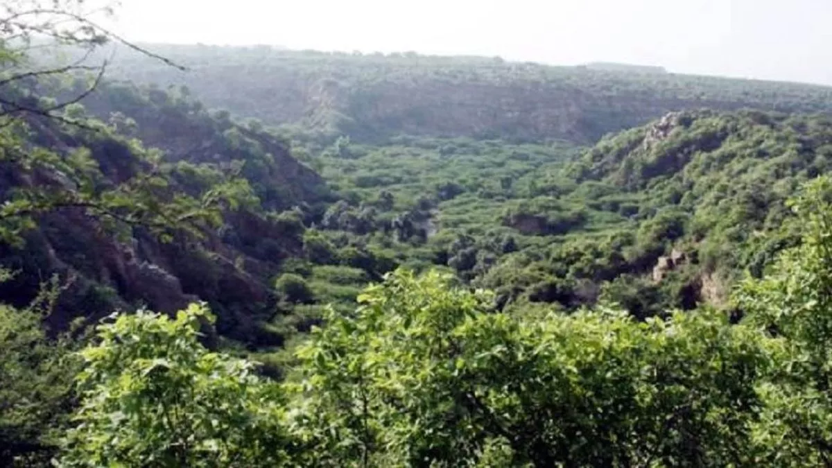 Aravalli Jungle Safari: अरावली पहाडि़यों विकसित होगा विश्व का सबसे बड़ा जंगल सफारी पार्क, 10 हजार एकड़ क्षेत्र में बनेगा