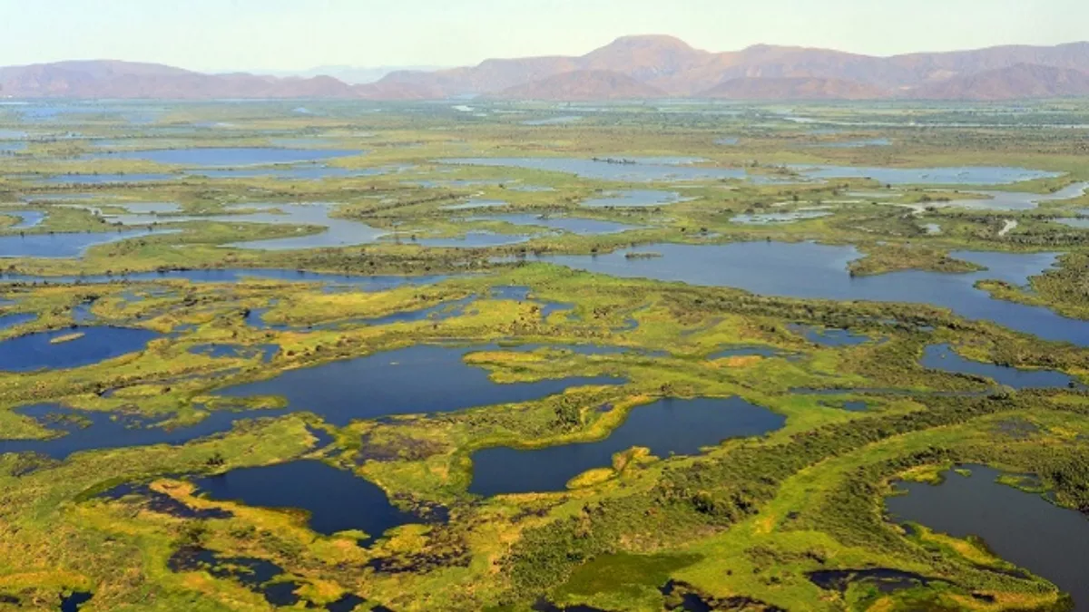 Preservation Of Wetlands: धरती पर जीवन के लिए वेटलैंड का संरक्षण है जरूरी
