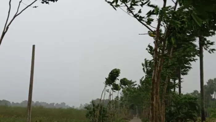 बिहार में तेज हवा के झोंकों के साथ वर्षा शुरू