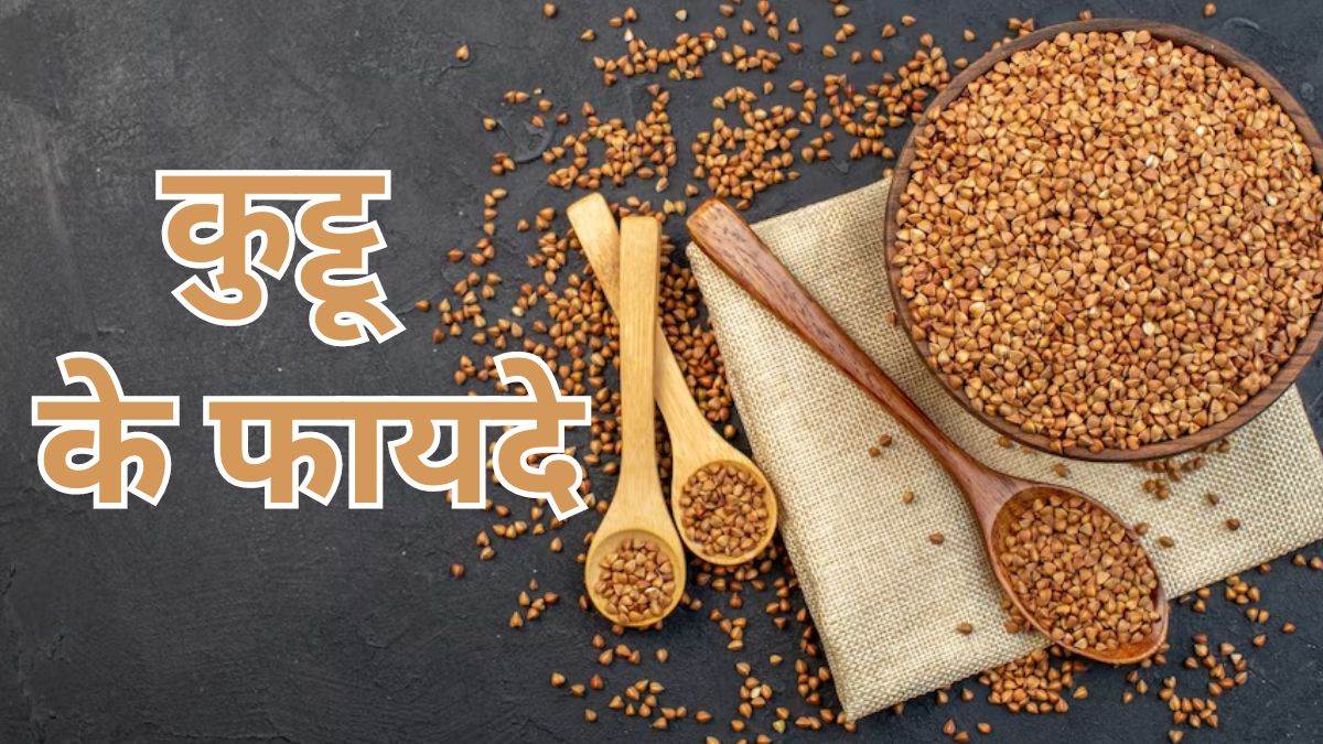 buckwheat millet is beneficial in many health issues know its benefits kuttu ke fayde