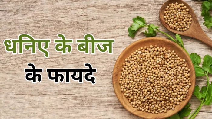 गुणों का भंडार है धनिए के बीज