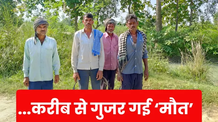 UP News: घास काट रहे थे किसान, अचानक सामने बाघ देखकर खड़े हो गए रोंगटे