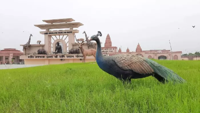 पर्यटकों की सुविधाओं के लिए चिड़ियाघर प्रशासन की नई योजना (फाइल फोटो)