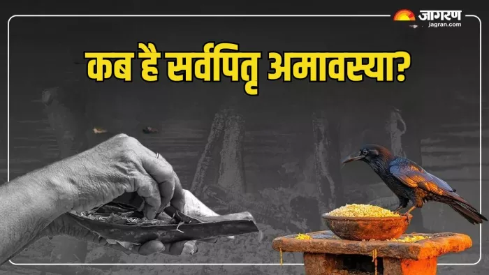 Lord vishnu: अमावस्या पर जरूर करें विष्णु जी पूजा