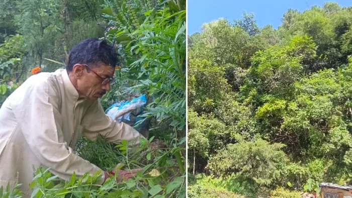 हजारों पौधे रोप पिता की याद में तैयार किया श्याम स्मृति वन