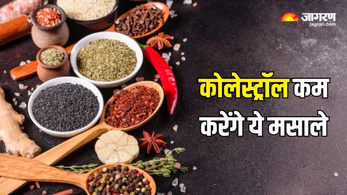 Cholesterol कम करने में मदद करेंगे ये मसाले (Picture Courtesy: Freepik)