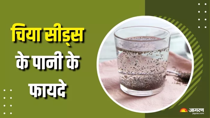 कैसे फायदेमंद है चिया सीड्स का पानी? (Picture Courtesy: Freepik)