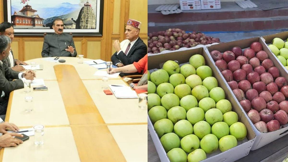 himachal pradesh considers partnership with new zealand for apple and pear farming