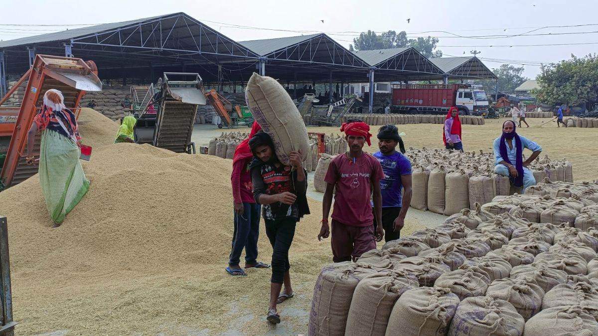 paddy procurement begins in hoshiarpur mandis farmers are getting amazing facilities