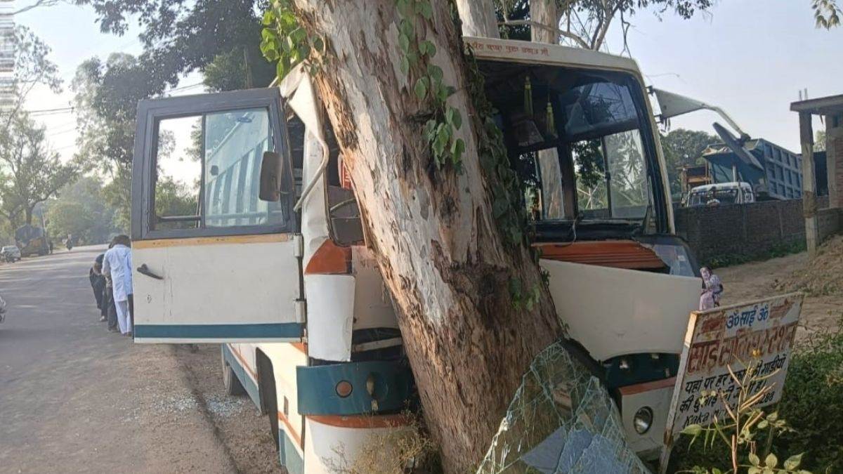 road accident in hoshiarpur bus loses control and hits tree several people injured