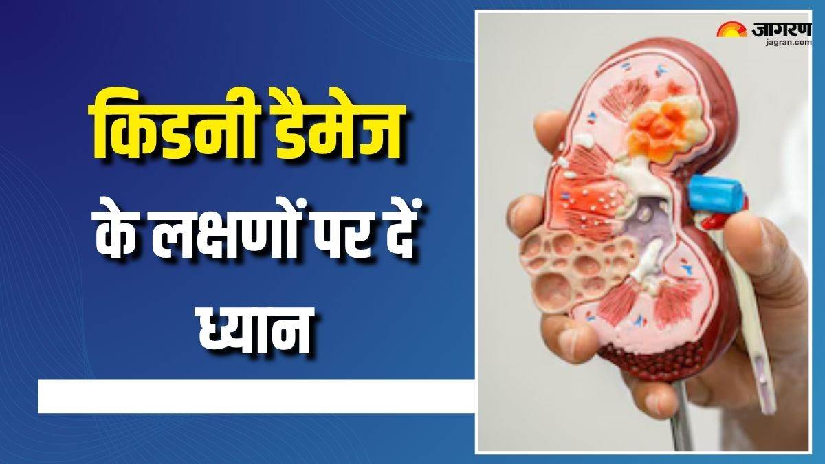 8 signs of kidney damage which must not be ignored check details here