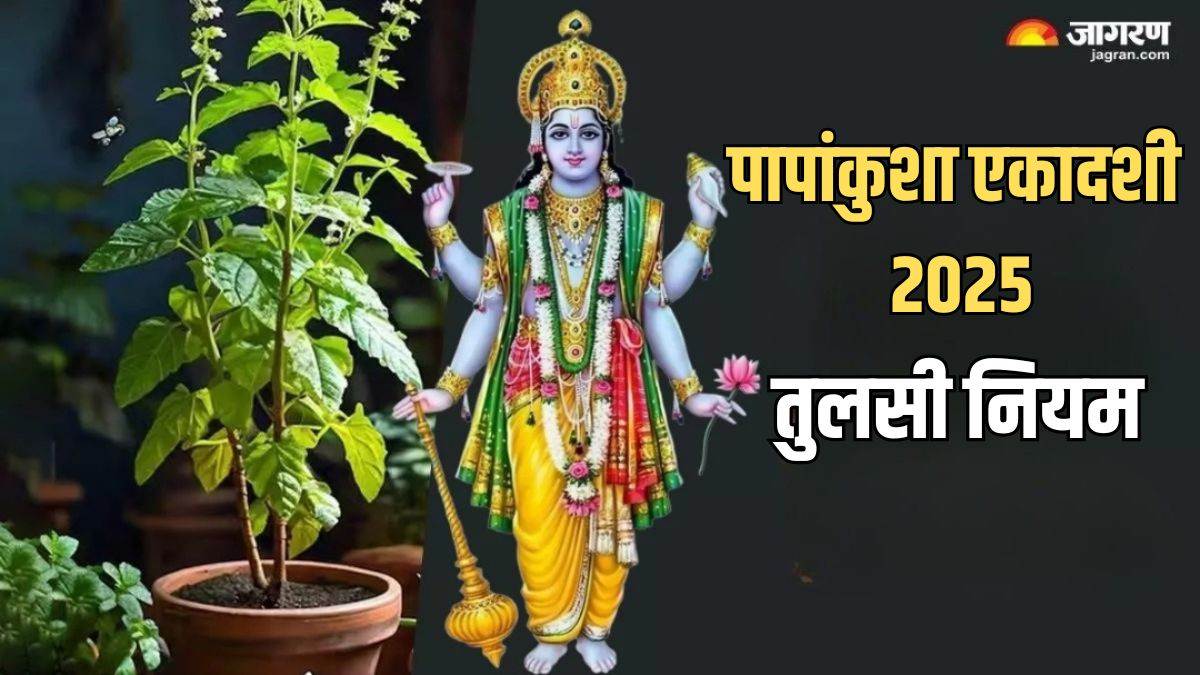 kab hai papankusha ekadashi 2025 follow these rules of tulsi on the day of papankusha ekadashi