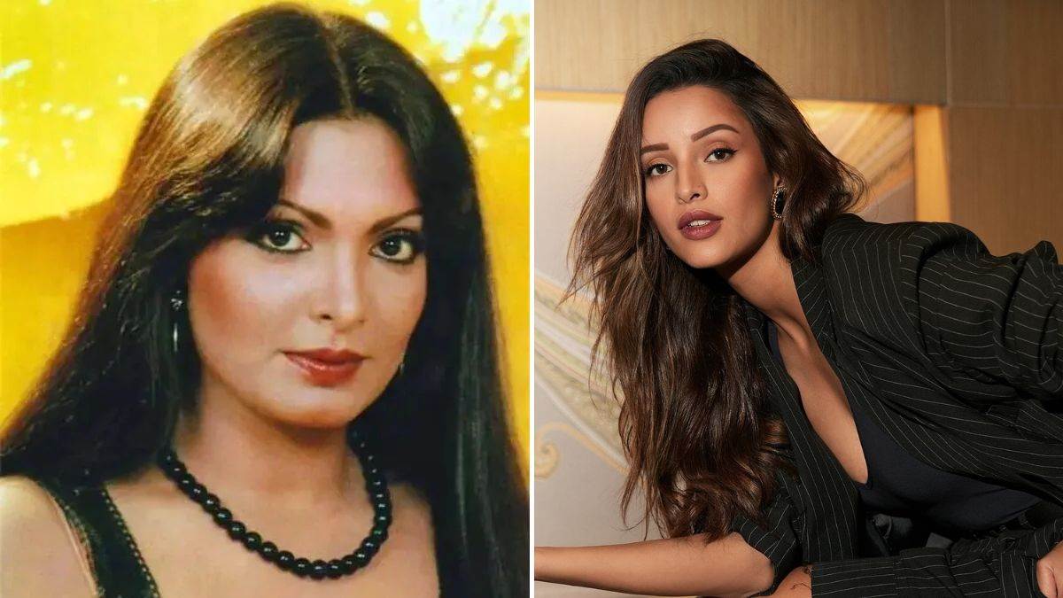 tripti dimri played parveen babi role in ranveer singh dhurandhar item song release on diwali2025