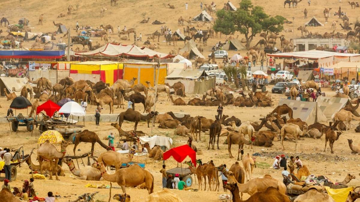 pushkar fair 2024 four day religious event dates and significance
