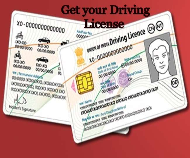 News Article Hero Image