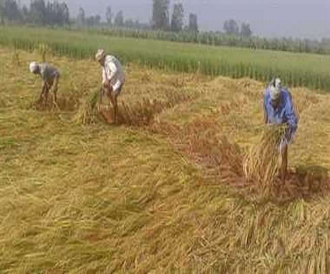 डीसी ने कहा कि प्रशासनिक अधिकारियों के साथ पुलिस अधिकारी भी इसे लेकर सचेत रहें।