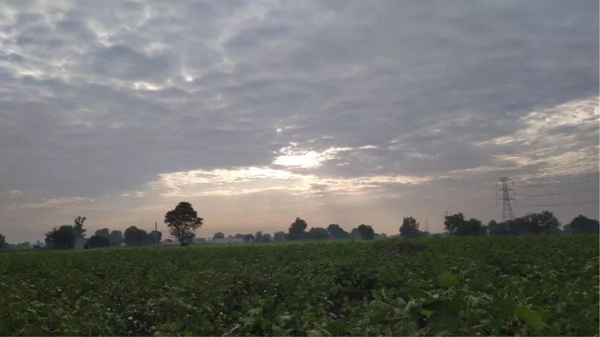 Haryana Weather News: पांच नवंबर के बाद मौसम में होगा बदलाव, बादल छाने की संभावना
