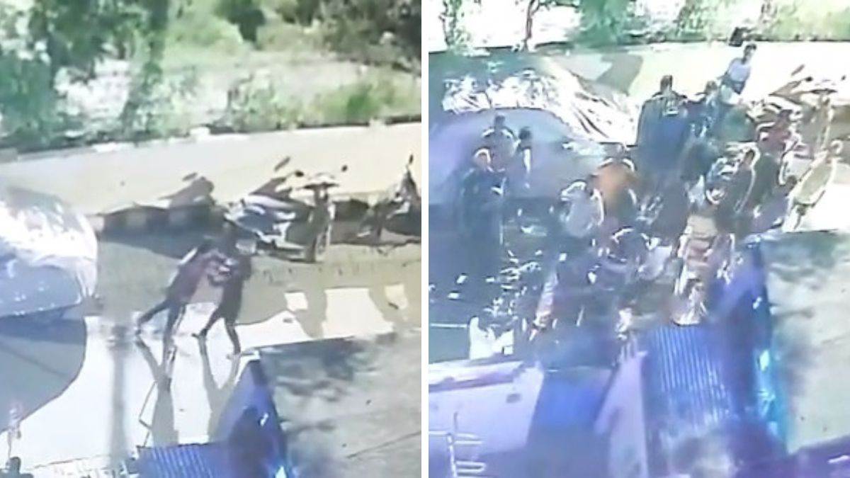 video viral of attack on ngo worker lady who fed animals and treated cow injured by firecracker in kanpur news