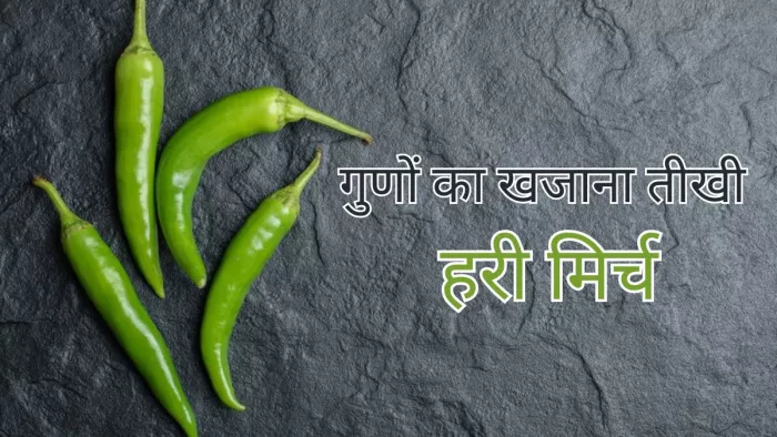 क्या आप जानते हैं हरी मिर्च के फायदे