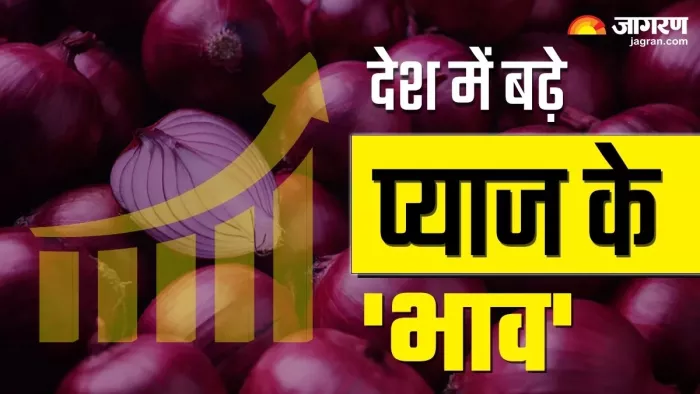 देश भर में प्याज के दाम में उछाल देखने को मिल रहा है।