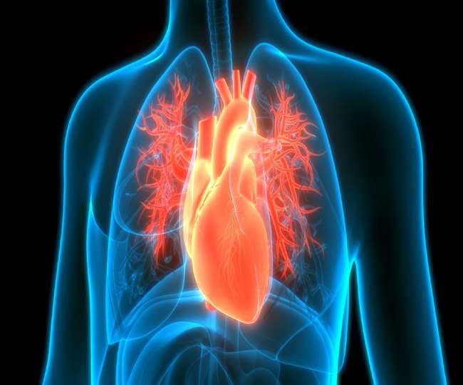 Health Tips : दिल की बीमारियों के ये हैं सात दुर्लभ लक्षण लक्षण