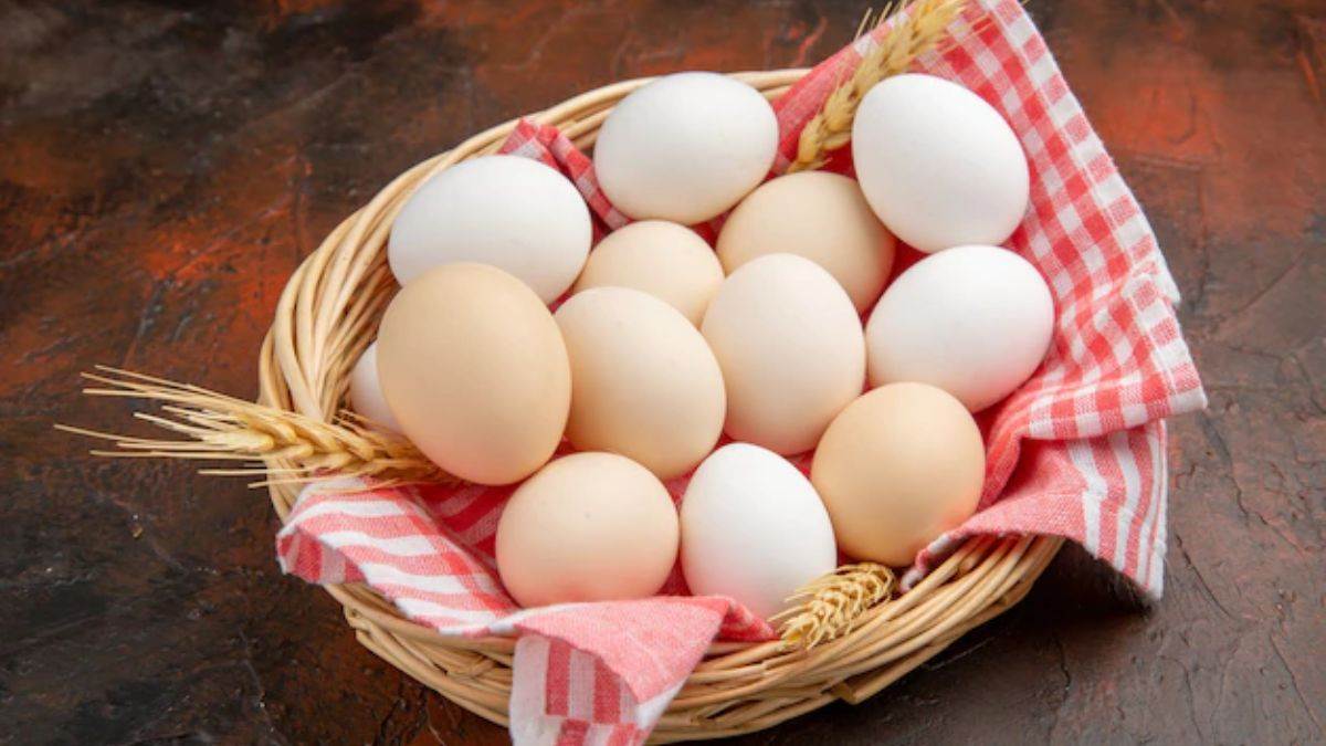 https://www.jagranimages.com/images/newimg/30112022/30_11_2022-egg_beneifits_23236951.jpg