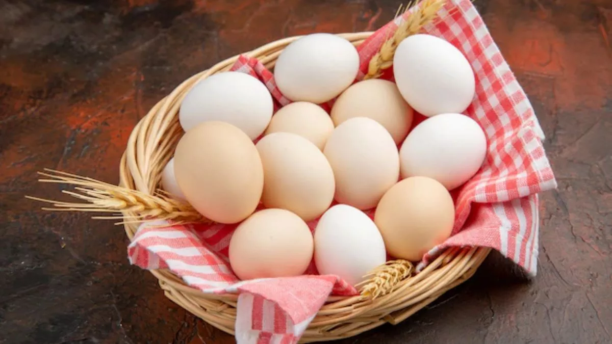 Benefits Of Eating Egg:अंडे खाने के हैं कई फायदे