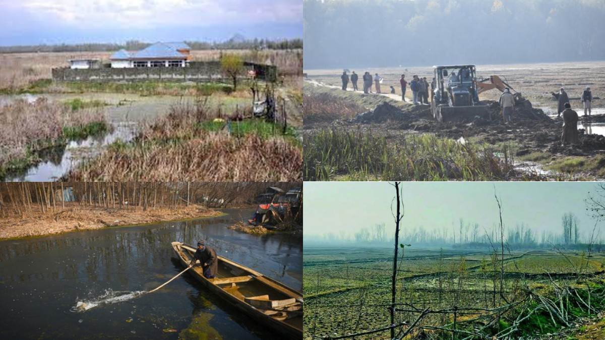 maharaja favorite hygam kashmir wetland is being encroached farming and houses standing somewhere jagran special
