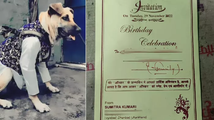 आसपास के मुहल्लों में भी हर जुबान पर बस इसी की चर्चा हो रही है।