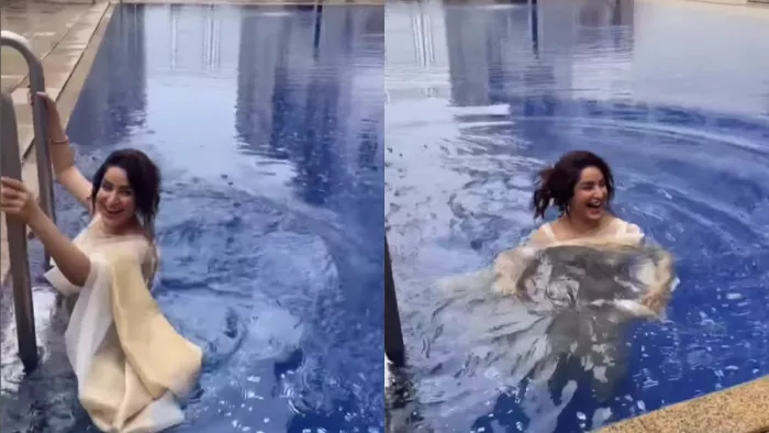 Tisca Chopra, Tisca Chopra saree look, Video