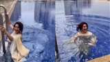 Tisca Chopra, Tisca Chopra saree look, Video