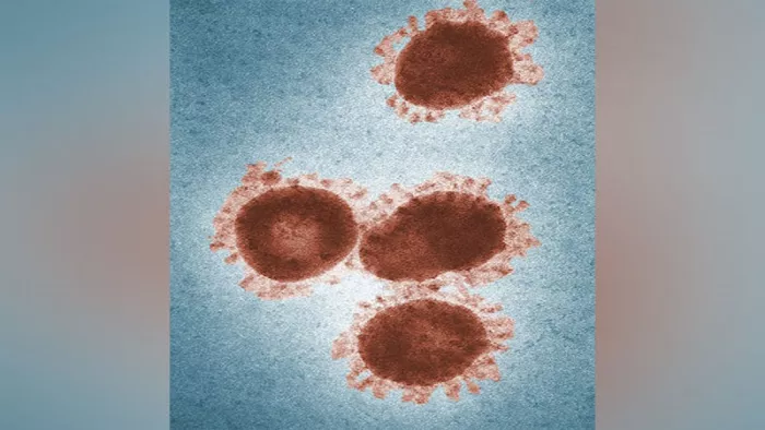 रूस में वैज्ञानिकों ने 48500 साल पुराने Zomby Virus को जिंदा किया