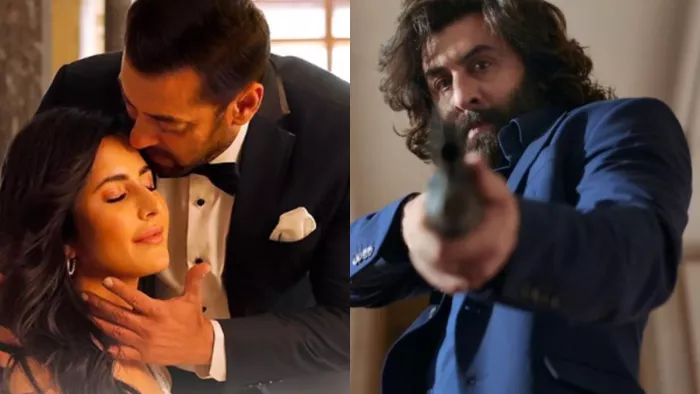 एनिमल बढ़ाएगा टाइगर 3 की बॉक्स ऑफिस पर मुश्किलें / फोटो- Instagram