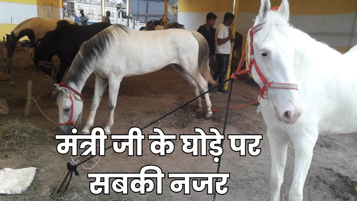 https://www.jagranimages.com/images/newimg/30112023/30_11_2023-sonpur_mela_news_23593487_204831710.jpg