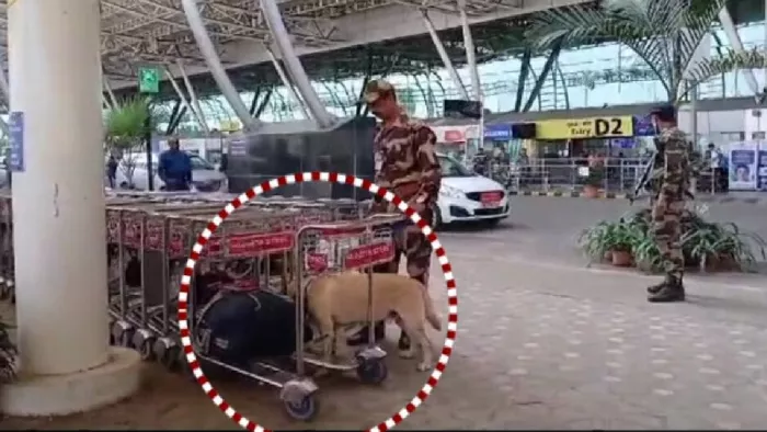 भुवनेश्वर एयरपोर्ट में संदिग्ध बैग मिलने से मची अफरा-तफरी