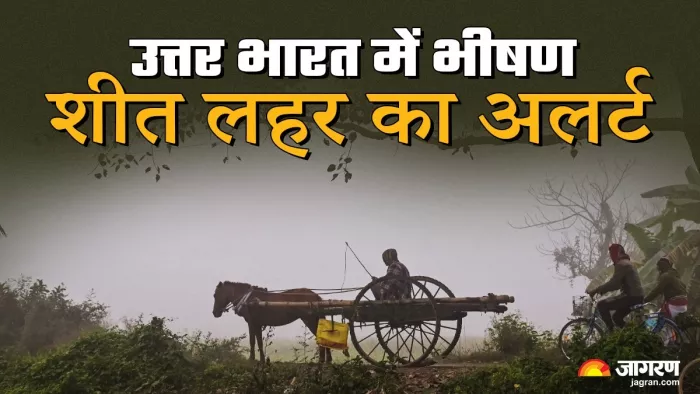 भीषण ठंड की चपेट में पूरा उत्तर भारत।