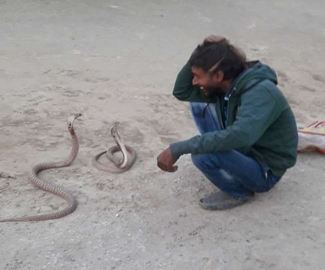 Image result for bccho ki trh khelta hai ye skhs sanp ke sath