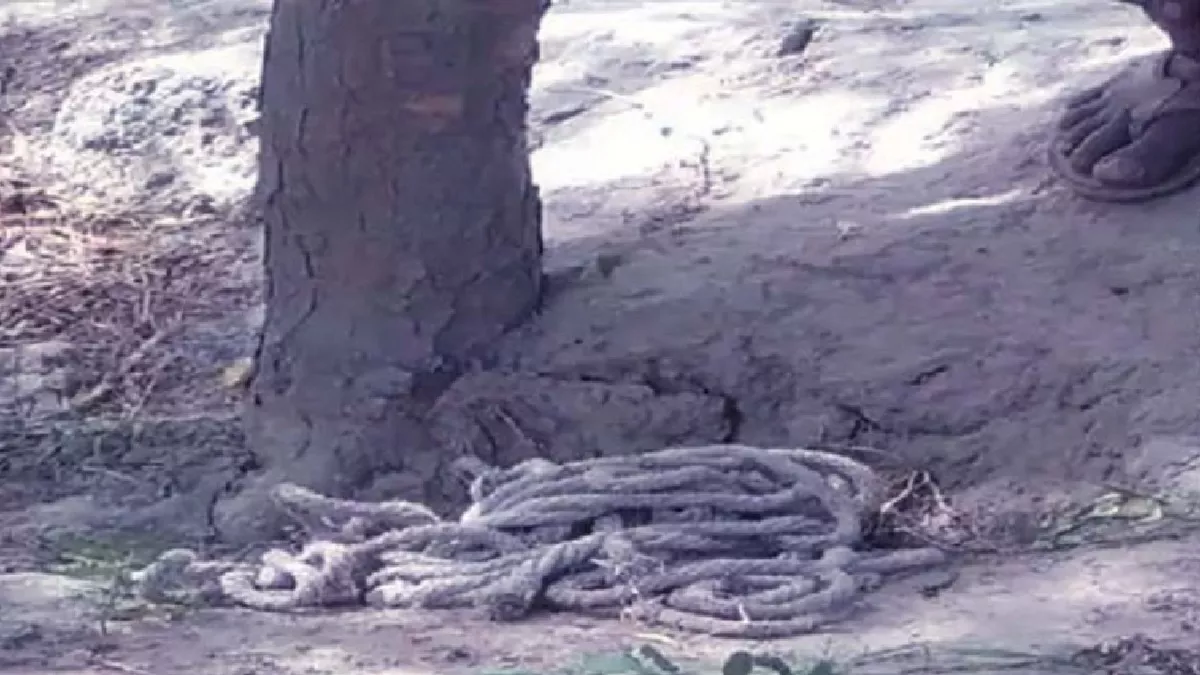 UP बाराबंकी में दो किशोरों को तालिबानी सजा पेड़ में बांधकर पीटा इंटरनेट  मीडिया पर वीडियो वायरल FIR दर्ज - Talibani punishment to two teenagers in  Barabanki first tied them ...