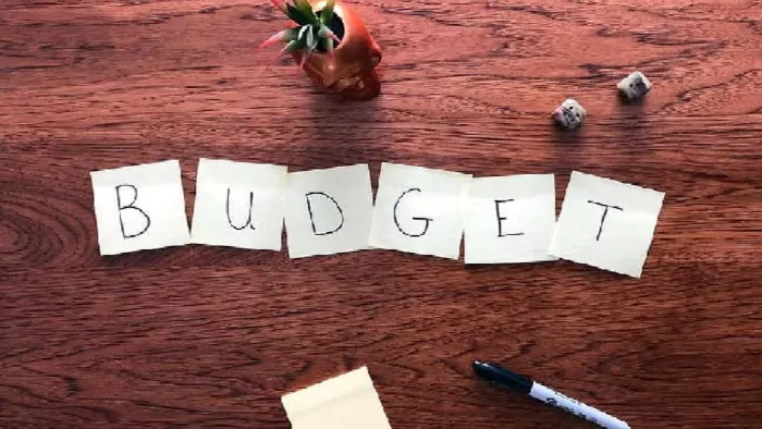 Budget 2023: आम बजट वस्तुत: केंद्र सरकार के आय और व्यय का लेखा-जोखा है।
