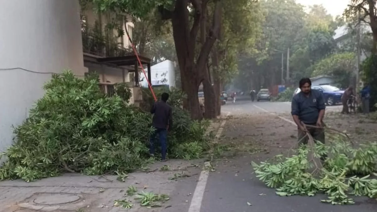 दिल्ली में पर्यावरणविद् और वीवीडब्लूए में पेड़ों की छंटाई को लेकर छिड़ी जंग, NGT के फैसले पर रस्साकसी जारी