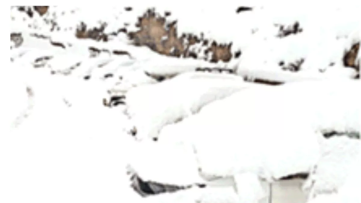 Manali Weather: डिमरू नाले में हिमस्खलन, दो घंटे रुका चंद्रभागा का बहाव, लाहौल-स्पीति में बर्फबारी जारी