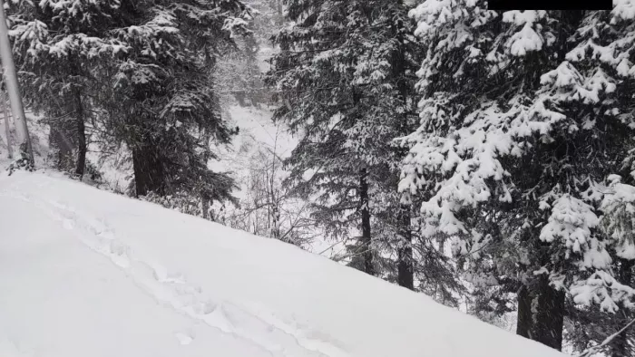 Weather News: मैदान में बारिश तो पहाड़ों पर बर्फबारी से बढ़ी मुश्किलें