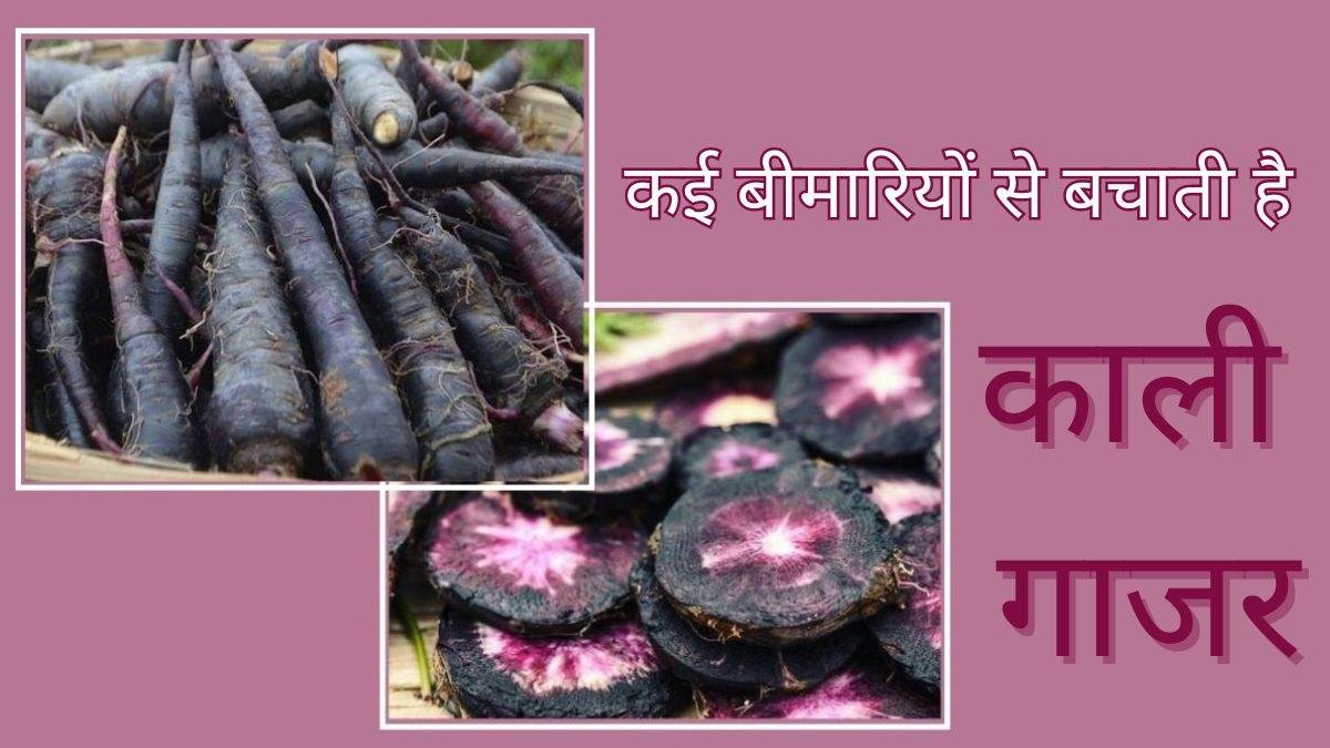 five surprising health benefits of black carrot in winters
