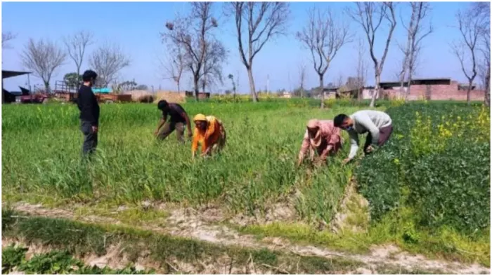 आसमान की ओर टकटकी लगाए बैठे किसान (फाइल फोटो)