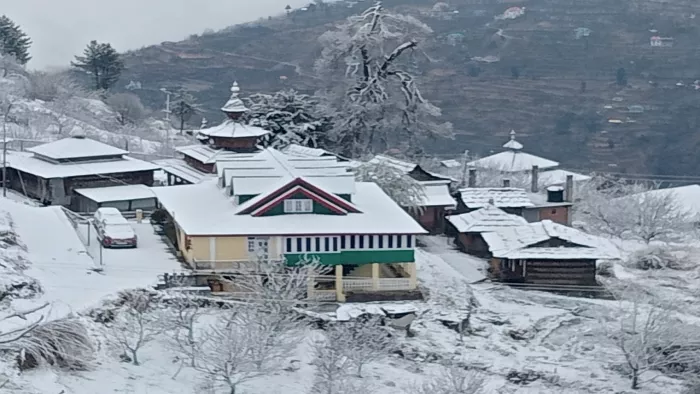 Himachal Weather News: नारकंडा में सीजन की पहली बर्फबारी। फाइल फोटो
