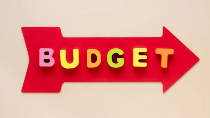 Budget 2025: कल संसद में पेश होगा बजट Image-freepik