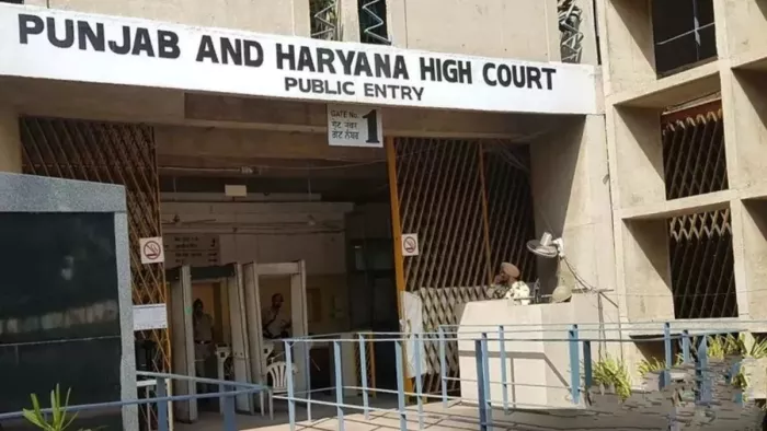 पंजाब और हरियाणा हाईकोर्ट ने अपनी सख्त रुख (फाइल फोटो)