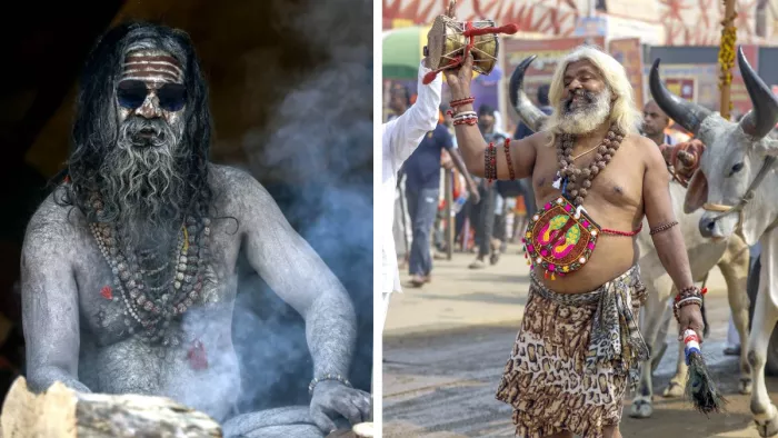 Maha Kumbh Mela 2025: अखाड़ा क्षेत्र में बैठे व घूमते नागा साधु। राजू पवार
