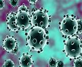 coronavirus : बाहरी राज्यों से आए लोगों को लौटाया, राज्य से आने वालों को शेल्टर हाउस में भेजा जाएगा